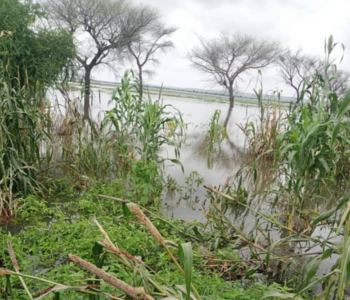 floods in Niger